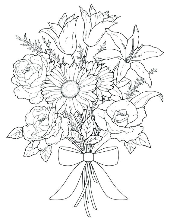564x720 Colorful Flower Beds Pictures Printable Coloring Flower Color