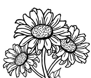 300x257 Sunflower Flower Coloring Pages Printable And Download