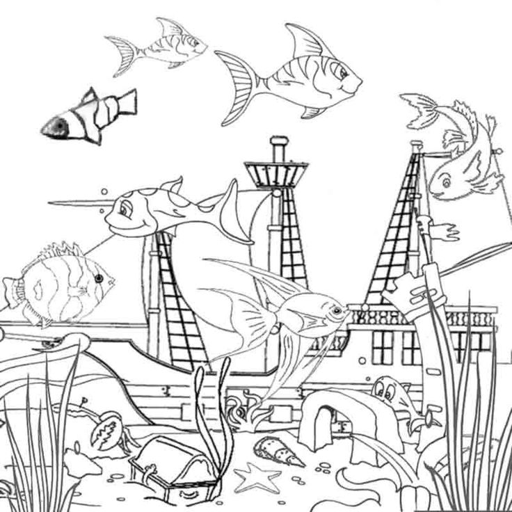 736x736 88 Best Nature Coloring Pages Images On Ocean Coloring