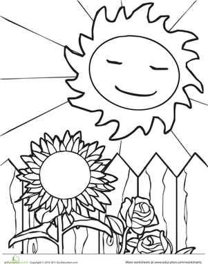 301x382 Sun And Sunflower Worksheet