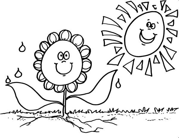 600x464 Spring Flower Really Need Sunshine Coloring Page Color Luna