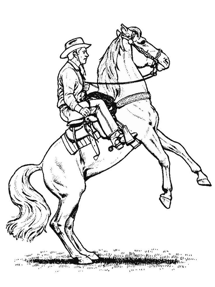 736x981 20 Best Horse Riding Images On Horse Riding, Kids Net