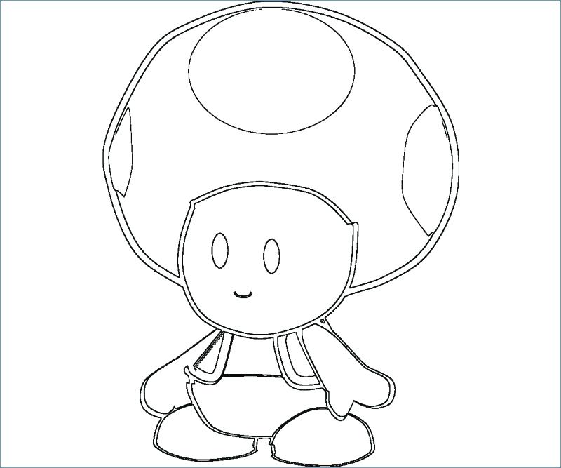 800x667 Coloring Pages Super Toad Coloring Page Many Interesting Super