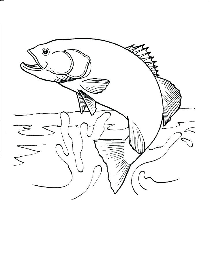 728x938 Free Printable Halloween Coloring Pages For Kids Free Printable
