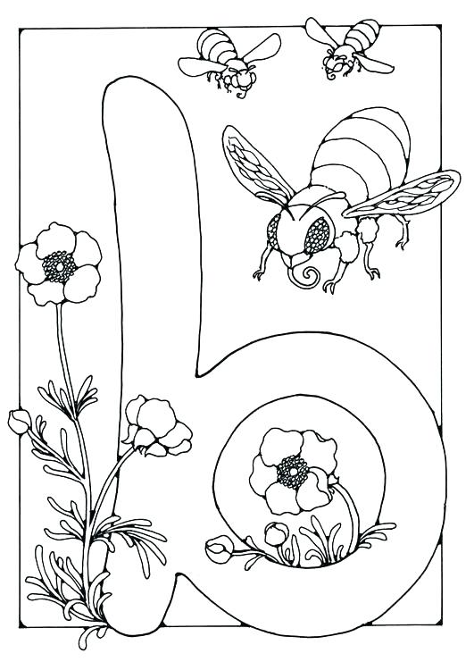 531x750 Susan B Anthony Coloring Page Susan B Anthony Coloring Sheet