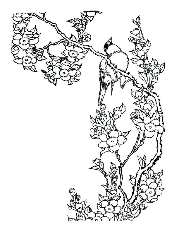 612x792 Japan Coloring Pages Sushi Food Coloring Page Japanese Anime