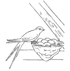 236x240 Carrot Coloring Page Coloring Pages Free Download Hd
