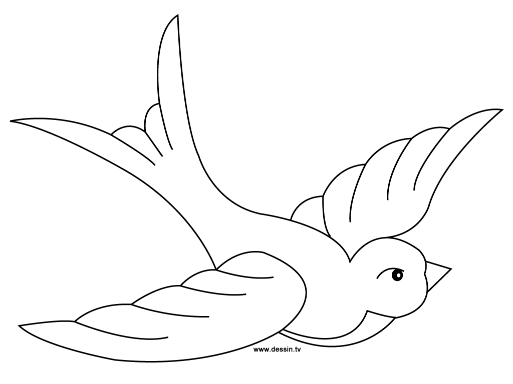 1024x768 Coloring Swallow
