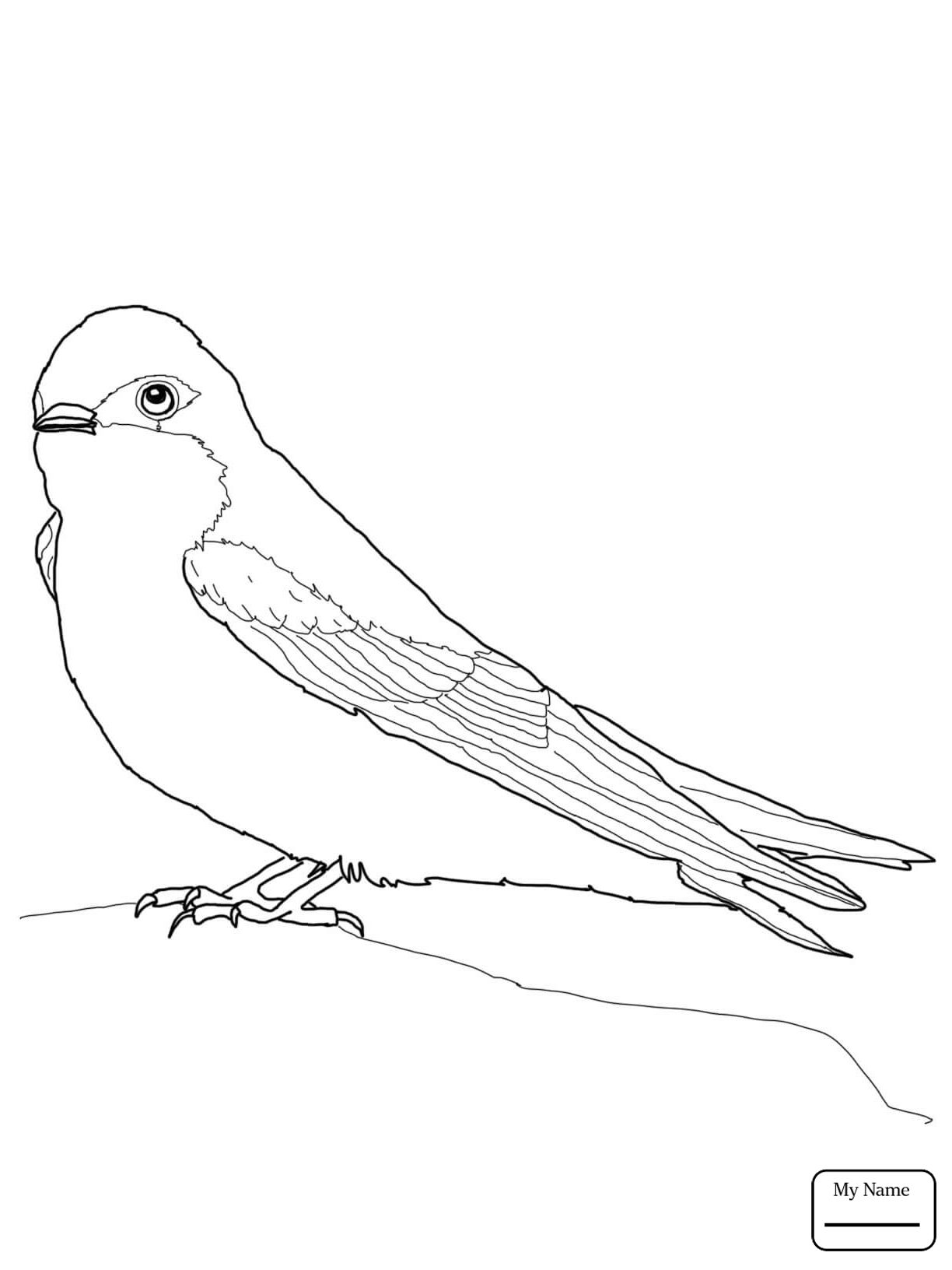 1224x1632 Flying Swallow Bird Birds Coloring Pages For Kids Realistic Barn