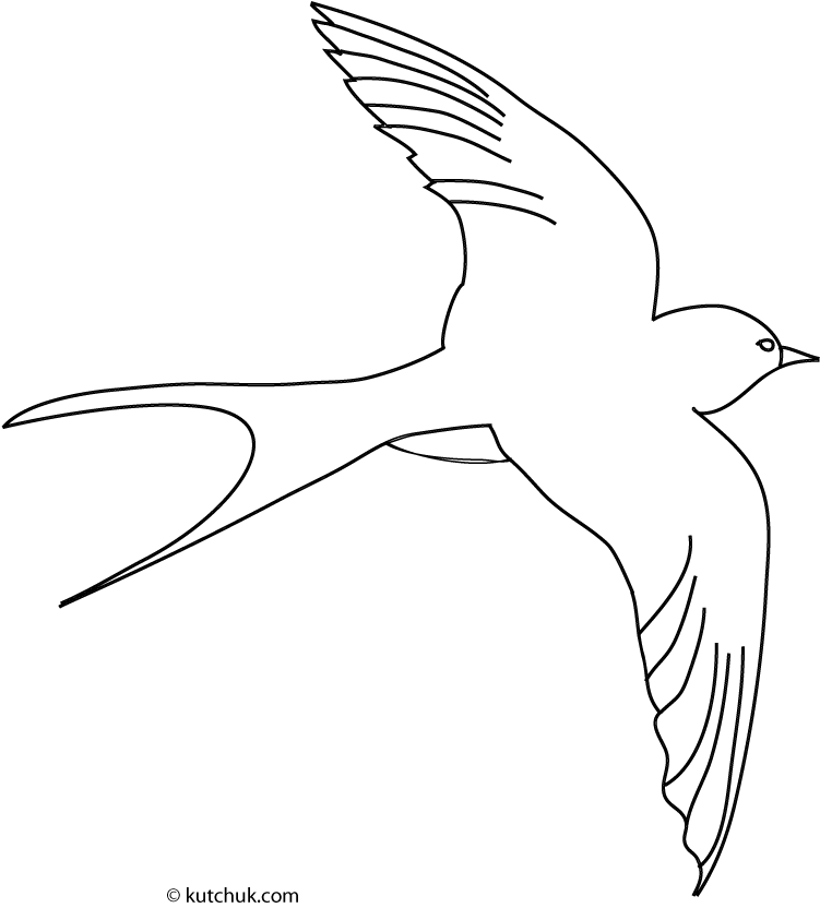751x832 Swallow