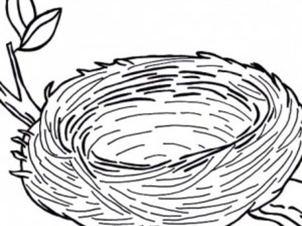 440x330 45 Bird Nest Coloring Page, Swallow Bird Nest Coloring Pages