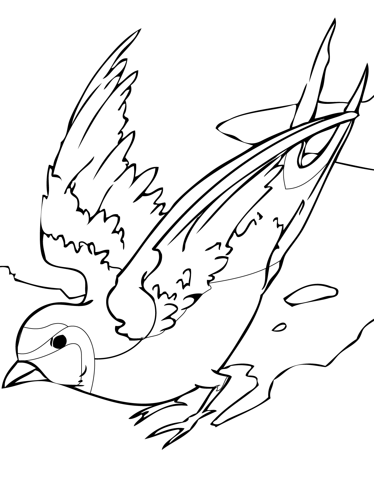 1275x1650 Swallows Coloring Pages Free Coloring Angry Birds Coloring Pages