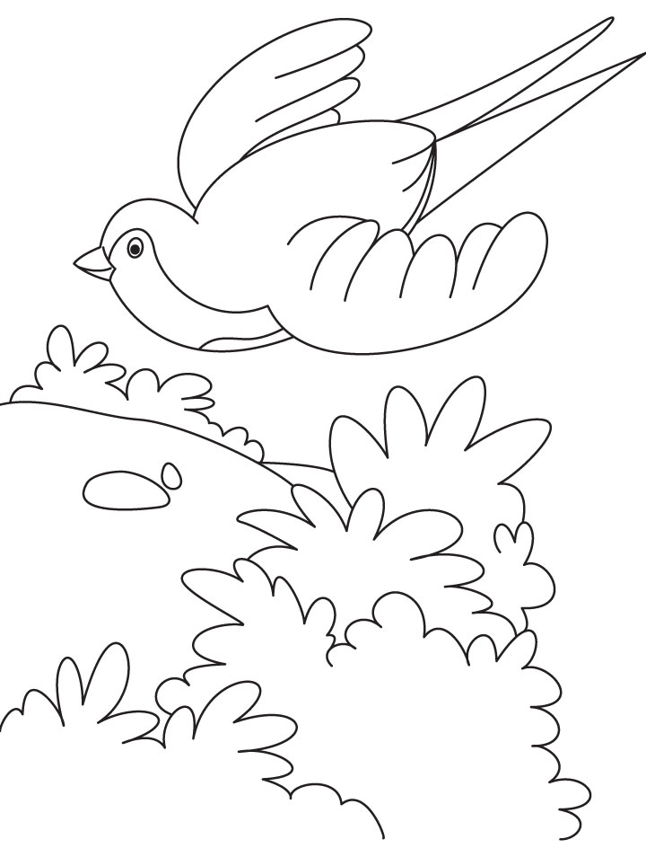 720x954 A Flying Swallow Bird Coloring Page Download Free A Flying Flying