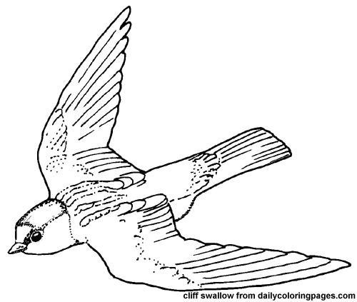 500x423 Open Wings.not My Work. More Found