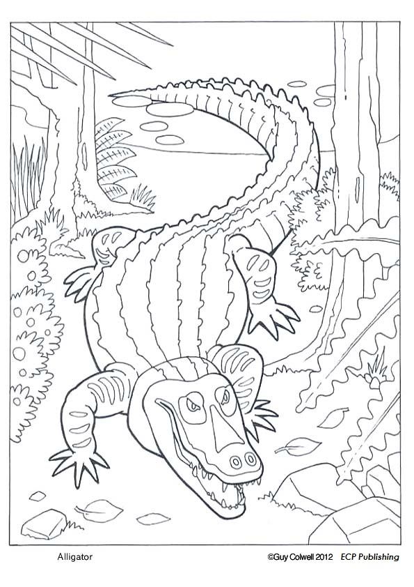 595x842 Pin By Foster Ginger On Coloring Book Fish Sea Life