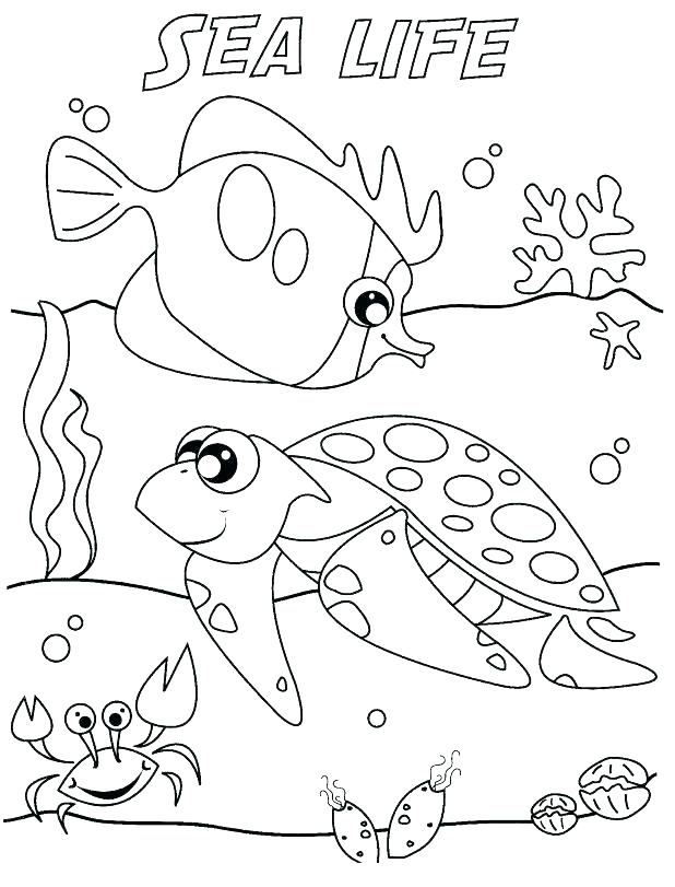 618x811 Animal Habitat Coloring Pages Animal Habitat Coloring Pages Hard