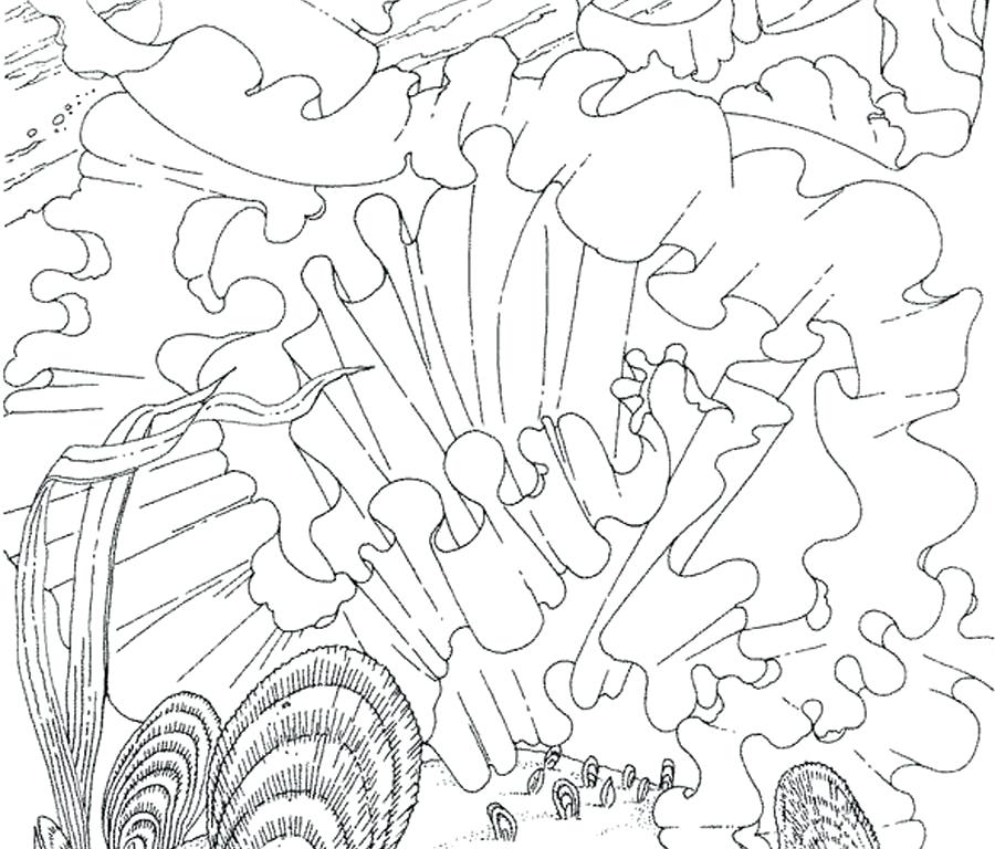 900x768 Animal Habitat Coloring Pages Best Of Of Swamp Animals Coloring