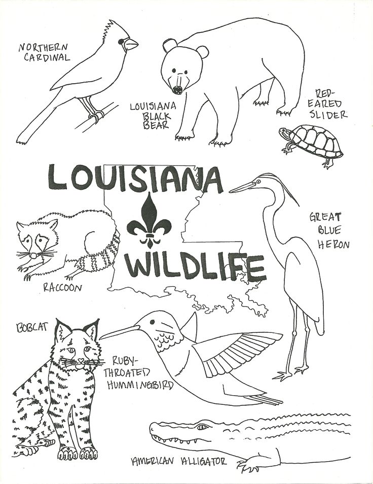 Swamp Coloring Page