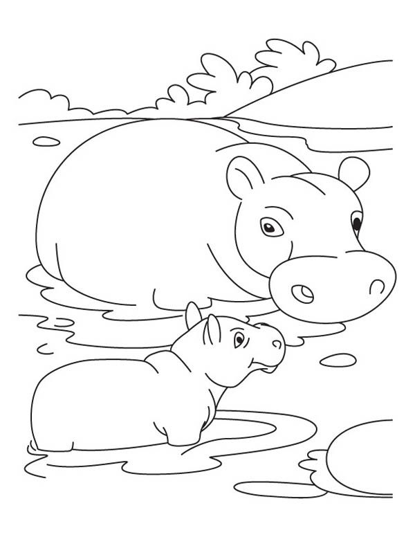 600x776 Mother Hippo And Baby In The Swamp Coloring Page Babies
