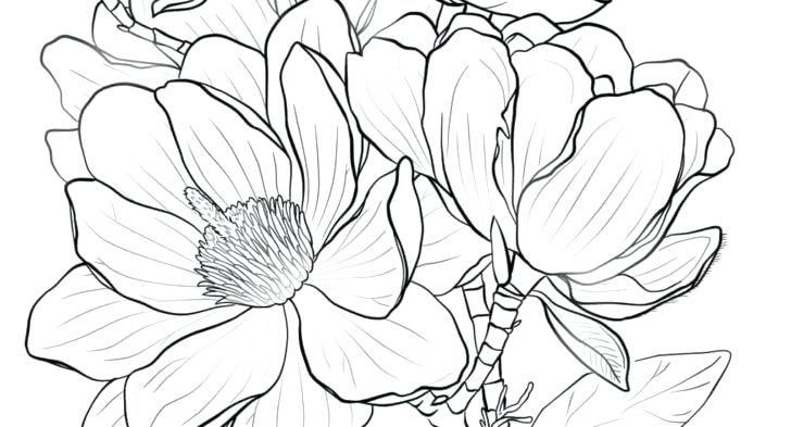 728x393 Coloring Outstanding Coloring Pages Purchase Picture Outstanding