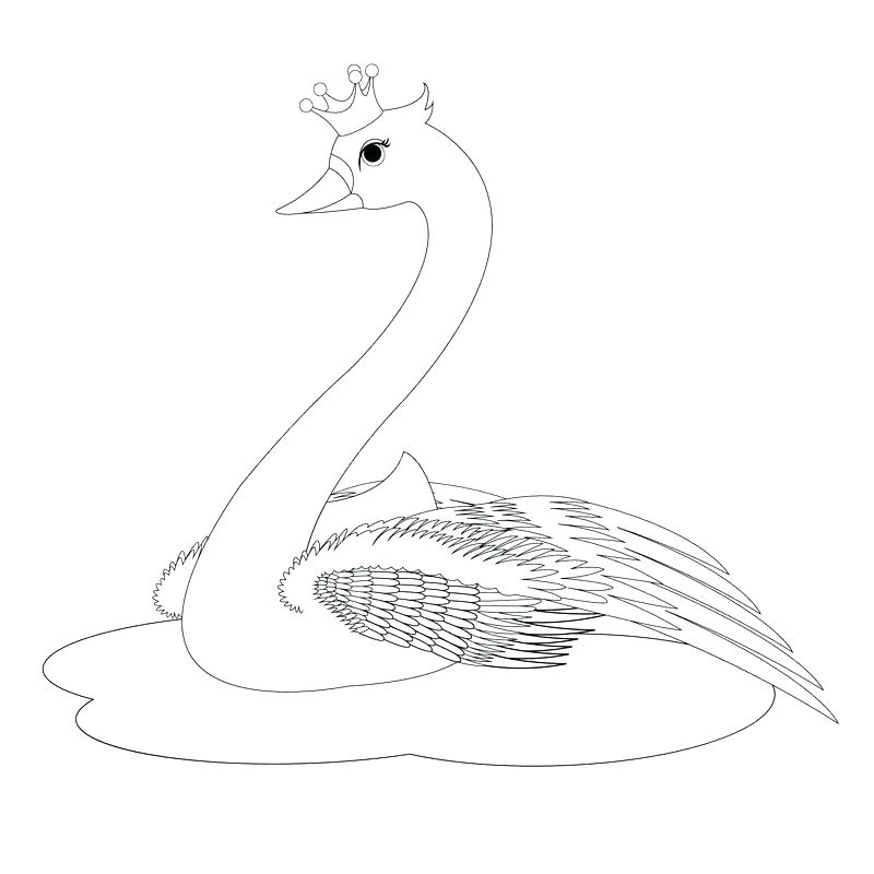 800x800 Swan Coloring Pages Swan Coloring Download The Swan Princess