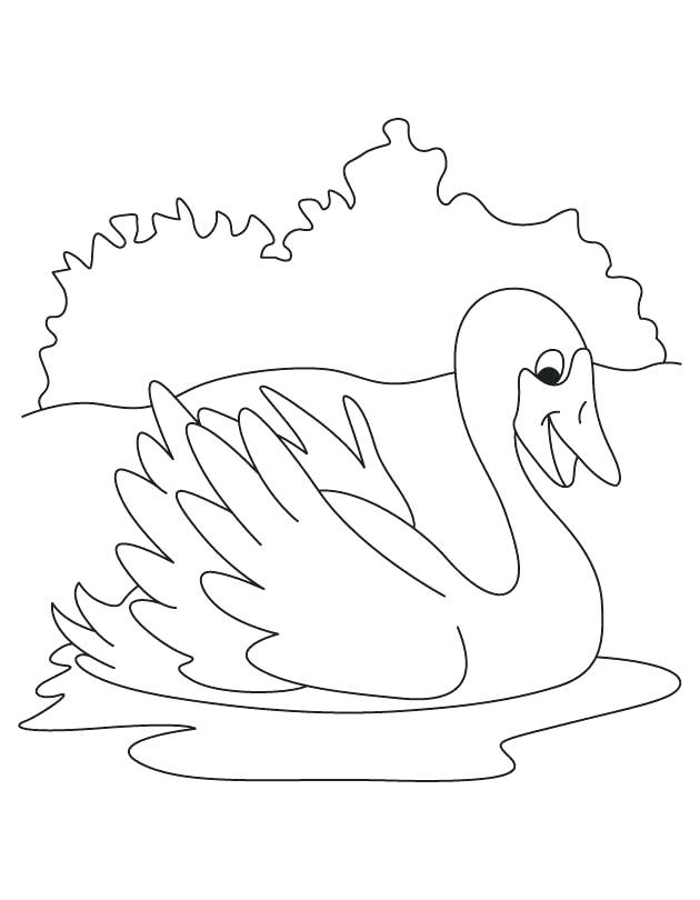 630x810 Swan Coloring Pages White Swan Coloring Page Swan Lake Colouring