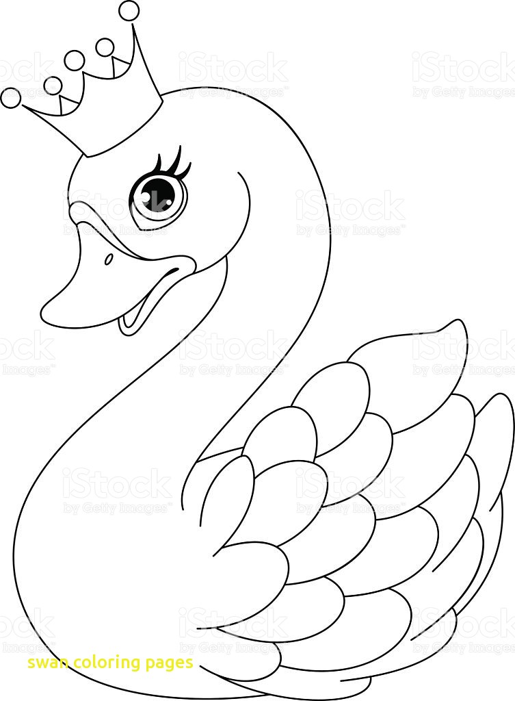 753x1024 Swan Coloring Pages With Swans Coloring Pages Swimming Swan