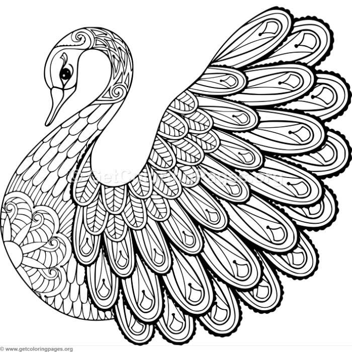 700x700 Zentangle Swan Coloring Pages