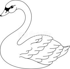 243x240 Swan Coloring Pages