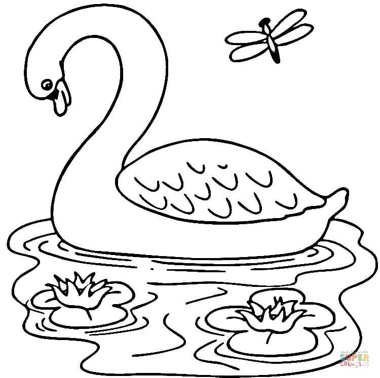 750x747 Swan In The Lake Coloring Page.jpg