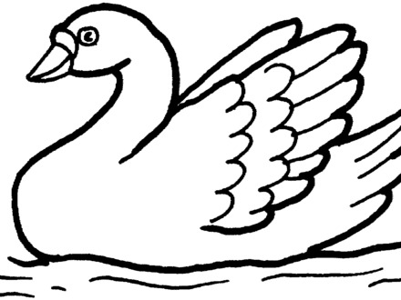 440x330 Funky Swan Coloring Pages Sketch