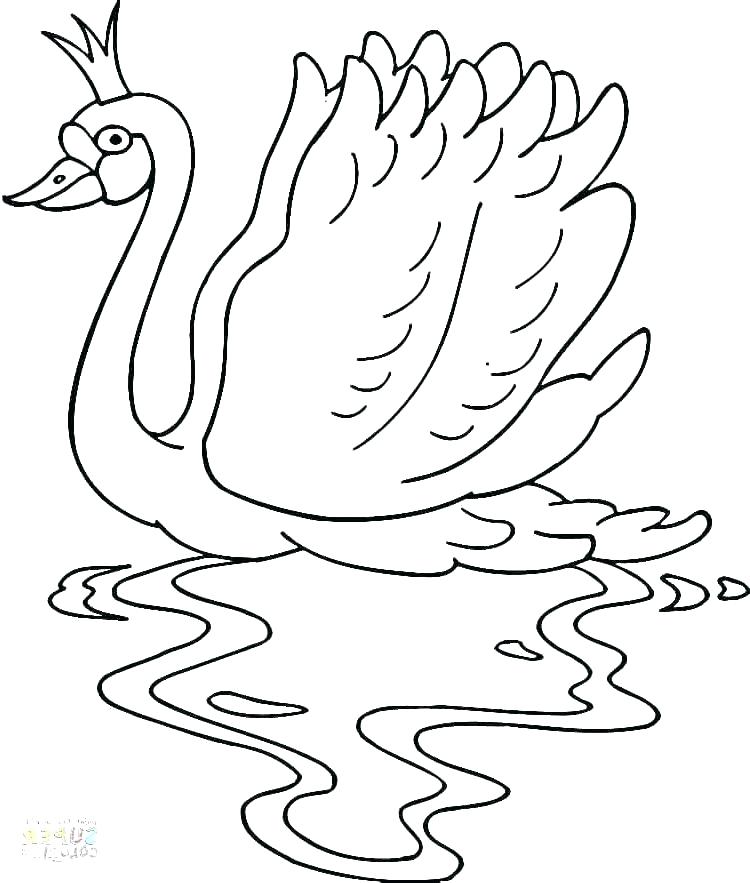 750x883 Princess Coloring Pages Printable The Swan Princess Coloring Pages