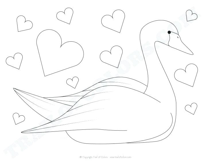 735x568 Printable Swan Coloring Pages Lake
