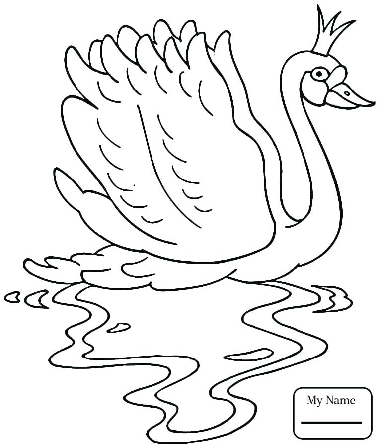 765x901 Swan Coloring Pages