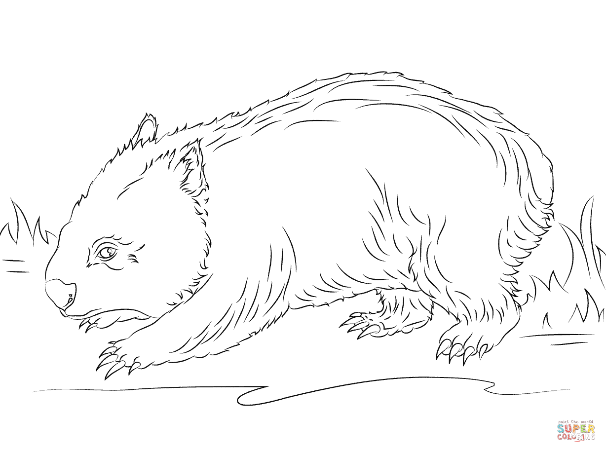 1228x916 Weird Preposition Coloring Pages Cute Wombat P