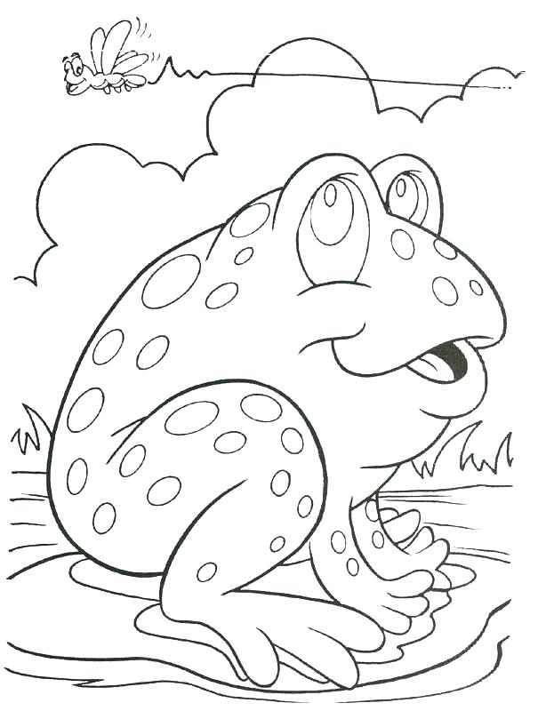 Sweet Frog Coloring Pages