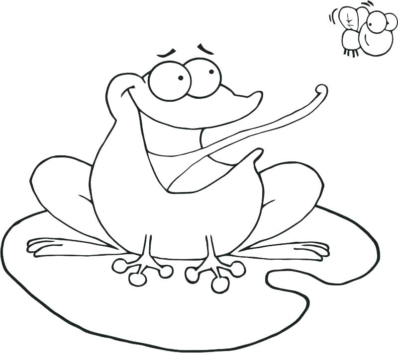 800x711 Frog Coloring Page Sweet Frog Coloring Pages Free Coloring