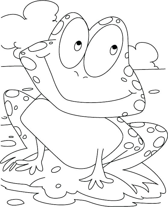 558x688 Frog Coloring Pages Frog Color Pages Cute Frog Coloring Pages