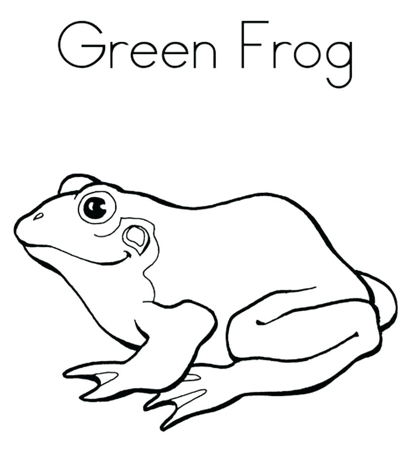 833x911 Frog Coloring Pages Hand Drawn Frog For Coloring Book For Adult