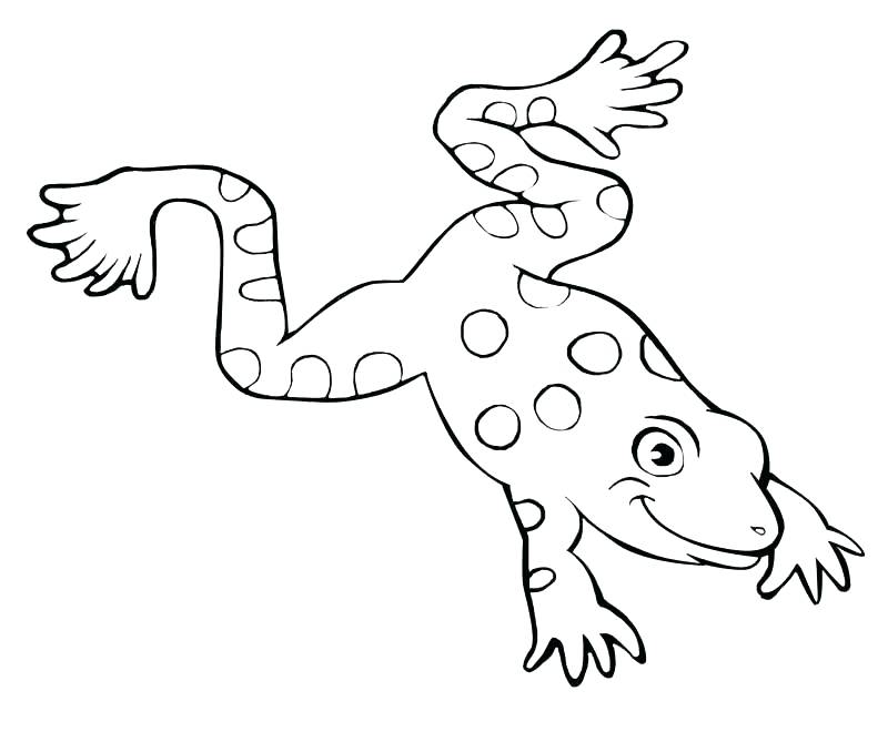 800x660 Printable Frog Coloring Pages Printable Frog Coloring Pages