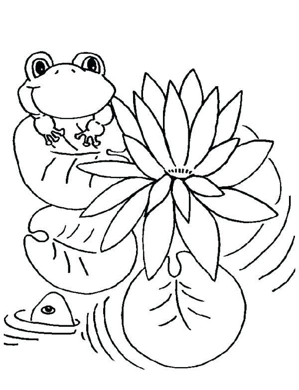 600x783 Sweet Frog Coloring Pages Frogs Lily Pad And Page Print Coloring