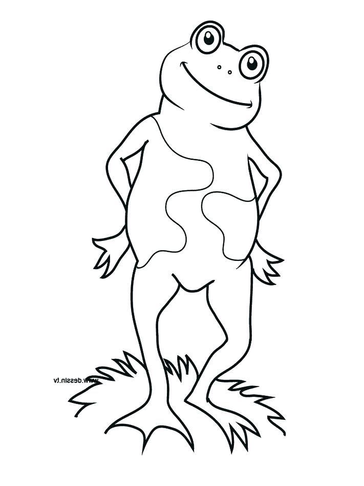711x948 Free Frog Coloring Pages Printable Frog Coloring Page For Kids