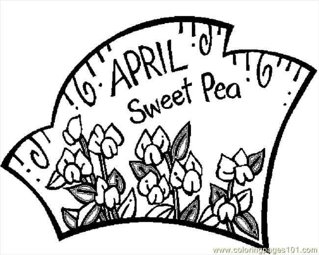 650x520 Coloring Pages April Sweet Pea Natural World Flowers Free Bebo