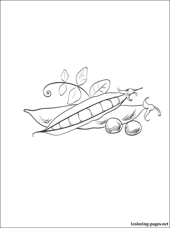 560x750 Coloring Page Peas Coloring Pages