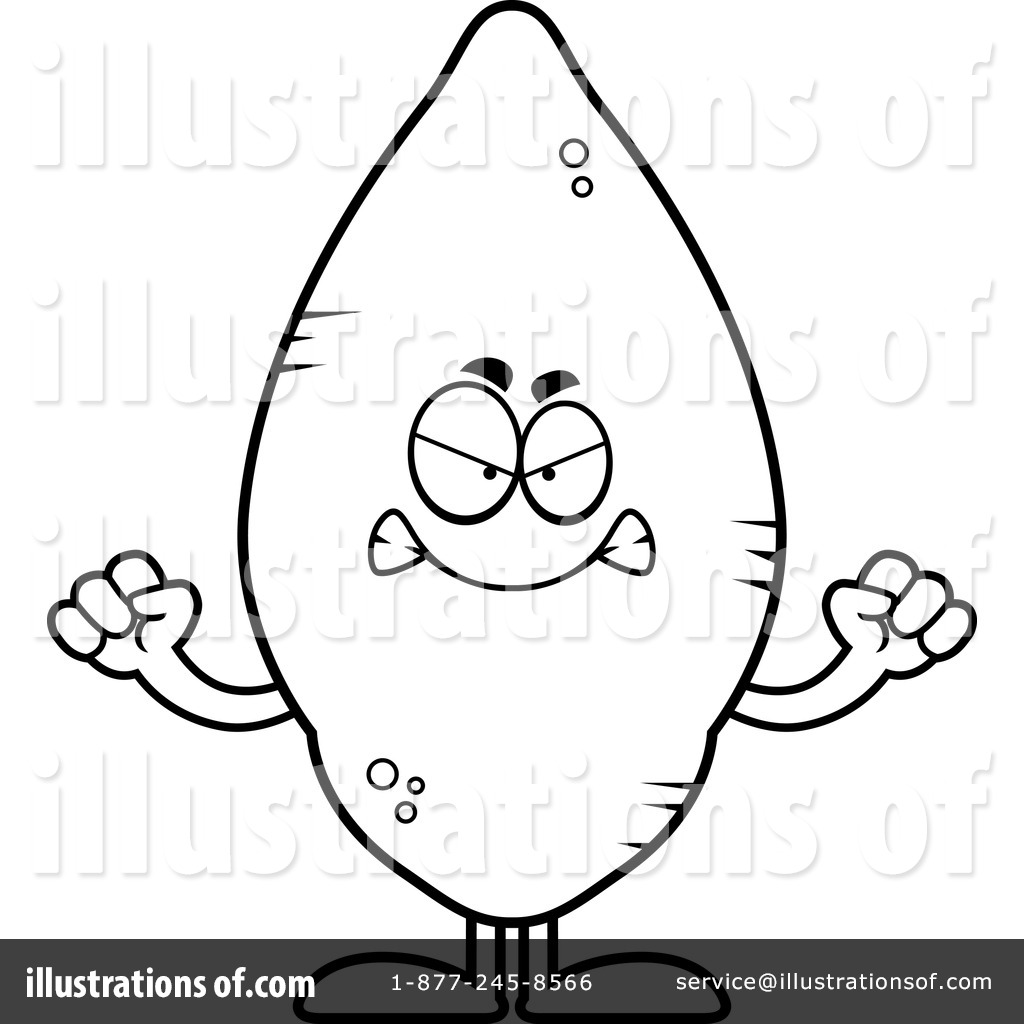 1024x1024 Sweet Potato Clipart