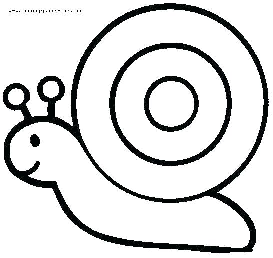 546x516 Coloring Page Sweet Potato Or Download Large Image Printable Mr