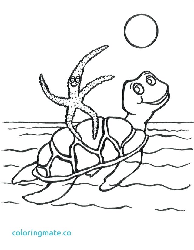 640x827 Swimming Pool Coloring Pages Swimming Coloring Pages New Swimming