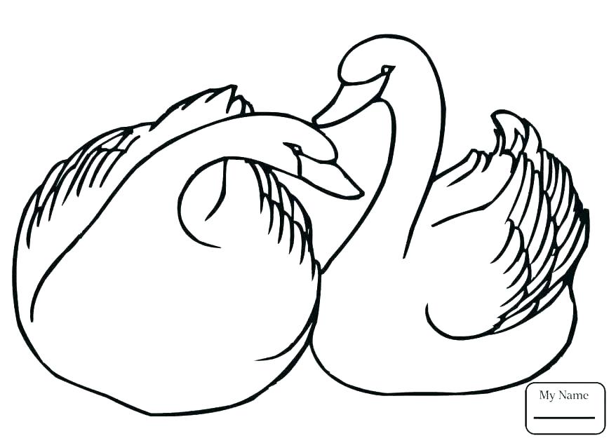 878x632 Swimming Pool Coloring Pages