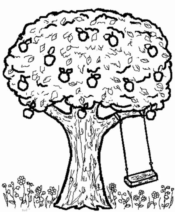 600x726 Apple Tree Swing Coloring Page Art Swings