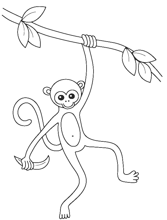 550x725 Monkey Swinging On A Tree Branch Coloring Pages Crafts